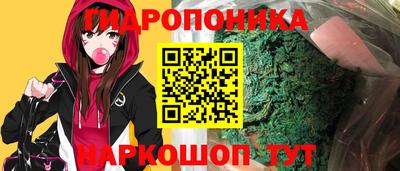 гашик Бузулук