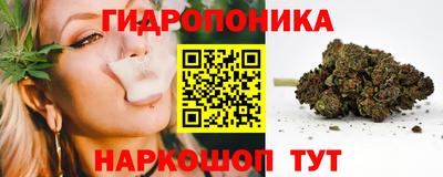 ГАЛЛЮЦИНОГЕННЫЕ ГРИБЫ Будённовск