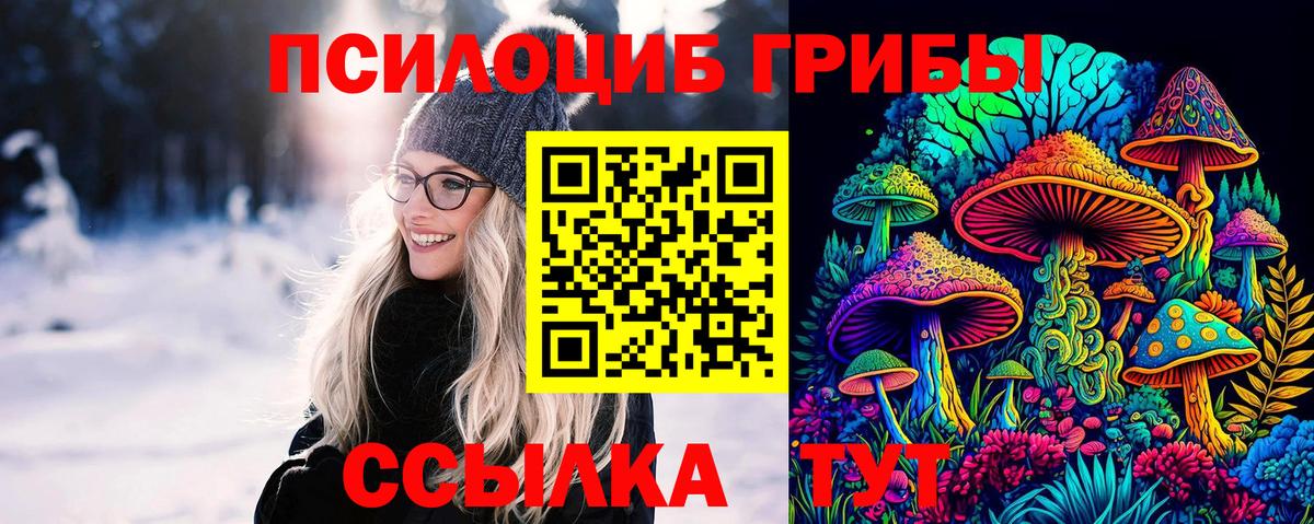 Псилоцибиновые грибы мухоморы Саратов